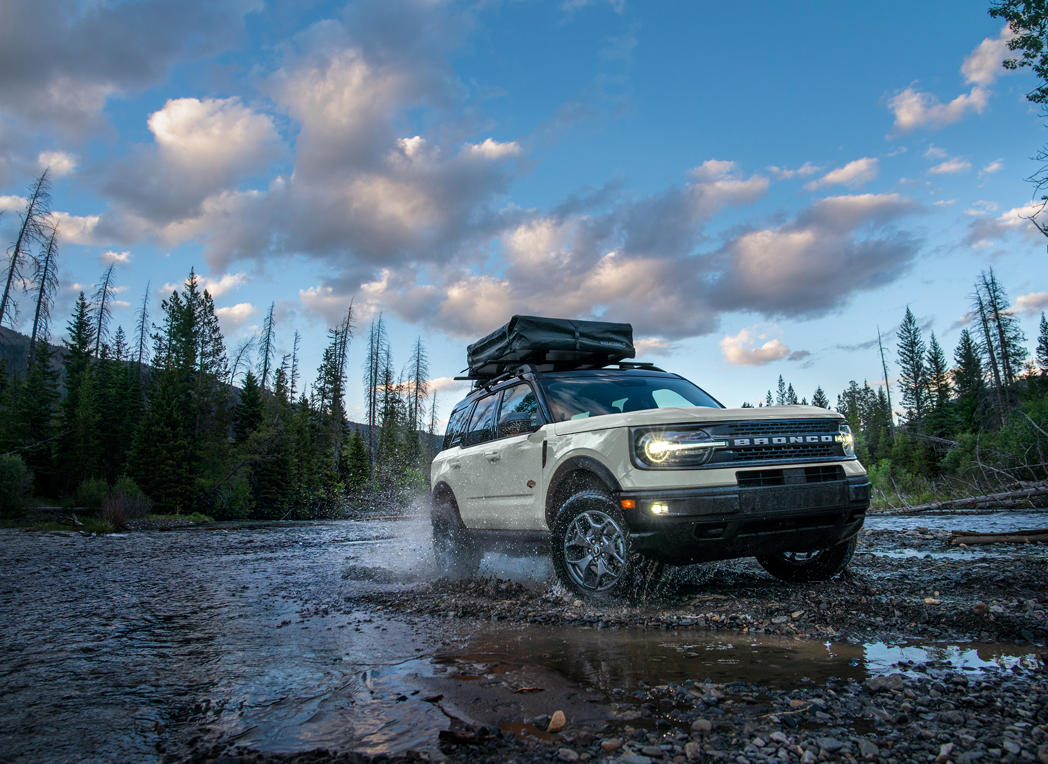 Raptor
