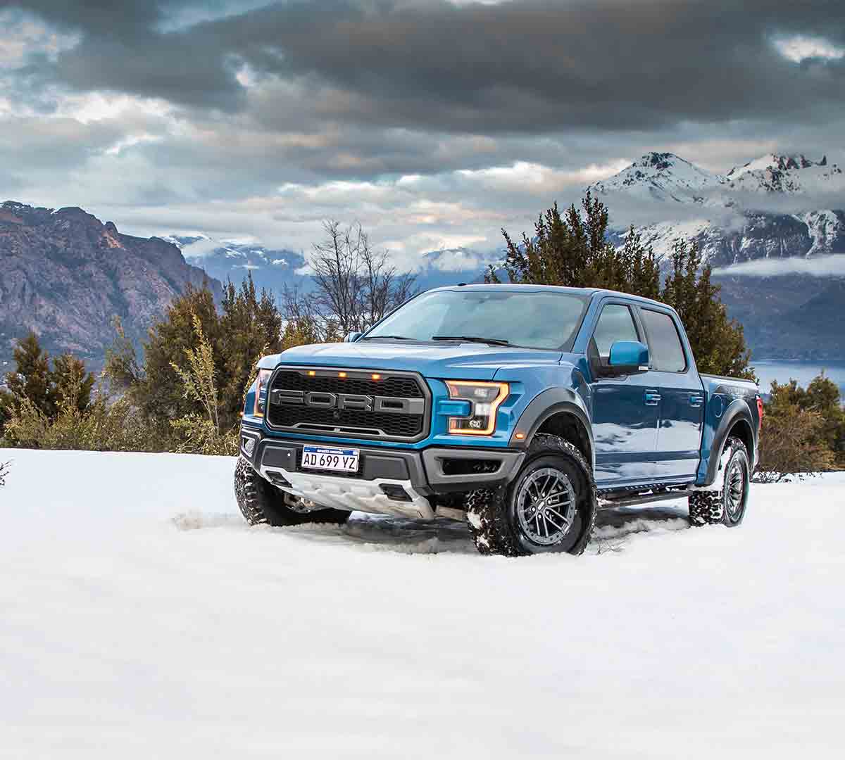raptor